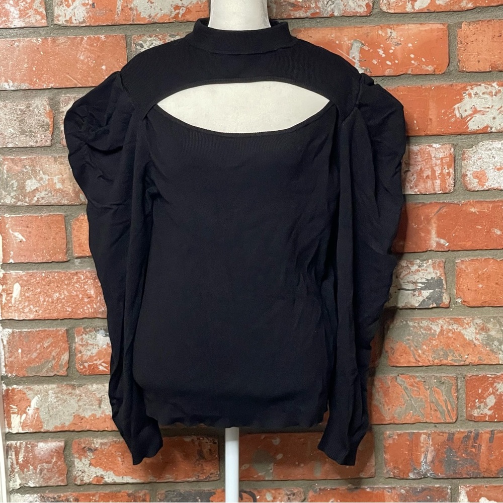 EUC Puffed Long Sleeve Sweater Top
